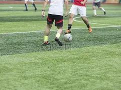 乌尔比希,急速抓机遇,未熟虑即战,世界杯,2022年世界杯,足球比赛,国际足球赛事,世界杯赛程,世界杯冠军,世界杯新闻,世界杯直播,世界杯历史,世界杯门票