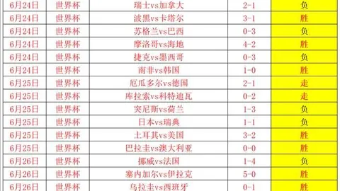 奥亚萨瓦尔：儿时梦想成真终极备战最后一战攻略大