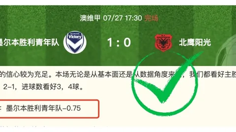 2026赛季爆红场次：近13中10神准，芬超4中3稳如磐石